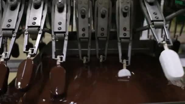 工業用アイスクリーム工場 食品生産事業におけるオートメーションと技術 チョコレートでクリームポップスの輸送と浸漬の機械のビュー — ストック動画