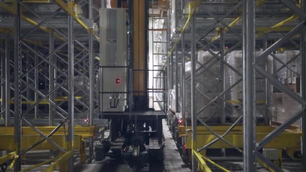 Chambre Réfrigération Industrielle Technologie Robotisation Vue Entrepôt Frigorifique Autonome Stockant — Video