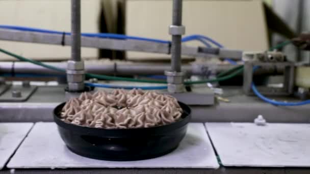 산업용 디저트 아이스크림 기계장치와 아이스크림 초콜릿 케이크를 컨베이어 벨트의 — 비디오