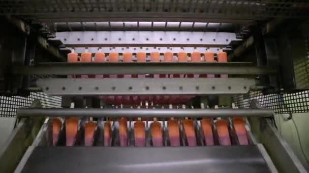 Przemysł Spożywczy Automatyzacja Technologia Produkcji Żywności Komercyjne Maszyny Produkcji Lodów — Wideo stockowe