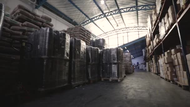産業倉庫について 配達の準備ができた箱でいっぱいの貯蔵部屋のパン — ストック動画