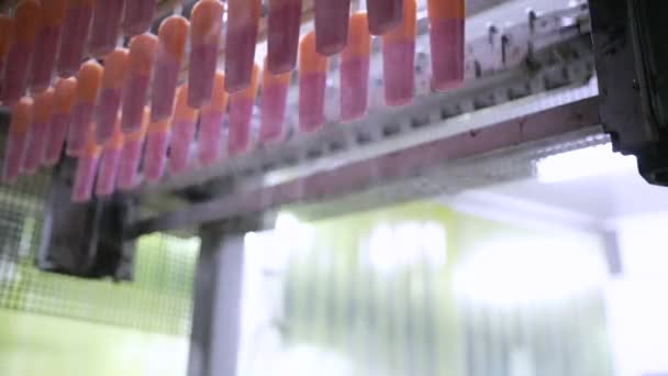 생산에 자동화 그리고 상업적인 오렌지 Popsicles 약실에 제품을 — 비디오
