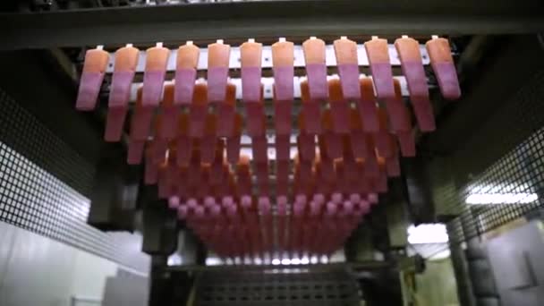 Industrie Alimentaire Automatisation Technologie Dans Production Alimentaire Machine Commerciale Popsicles — Video
