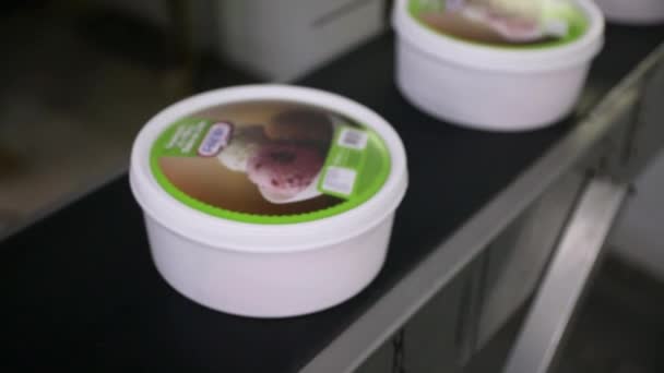 Yiyecek Endüstrisi Sanayi Dondurma Fabrikası Ticari Dondurma Tenceresinin Taşıma Bandıyla — Stok video