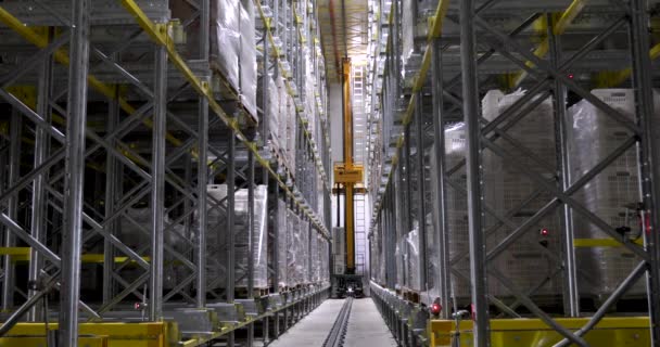 産業冷凍室について 技術とロボット化 低温で食品やその他の商品を保管する自律冷却倉庫の様子 — ストック動画