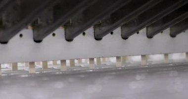 Endüstriyel dondurma üretimi. Fabrika buzlu şeker makinesi. Buz kalıplarına tahta çubukları taşıyan ve yerleştiren otomatik bir makinenin yakın görüntüsü.