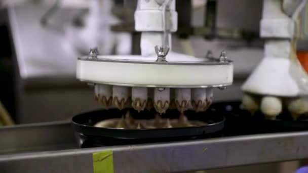 食品産業について アイスクリーム ケーキ工場生産ラインおよび労働者 チョコレートアイスクリームでプラスチックポットを充填する自動機のクローズアップビュー — ストック動画
