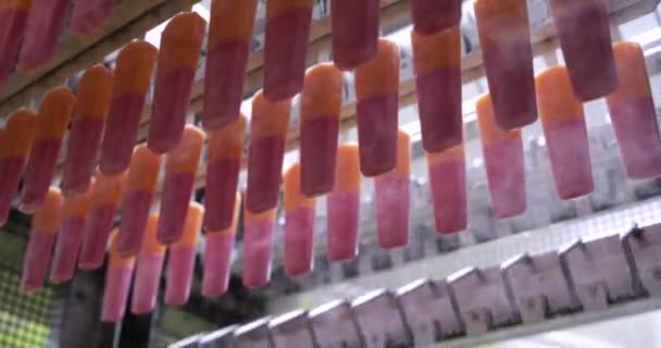 食品産業について 食品生産におけるオートメーションと技術 冷凍室でプロダクトを運ぶ商業イチゴおよびオレンジの風味を付けられたポップスル機械 — ストック動画