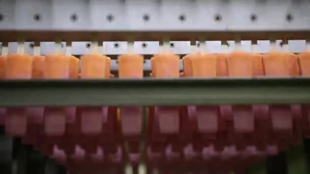 Industria Alimentaria Automatización Tecnología Producción Alimentos Máquina Comercial Paletas Con — Vídeo de stock
