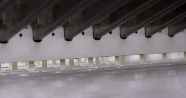 Industriell Glassproduktion Fabriksmaskinen Närbild Automatiserad Maskin Transportera Och Placera Träpinnar — Stockvideo