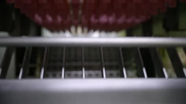 食品工业 粮食生产自动化和技术 商业草莓和橙子味爆米花机 在冷冻室运送产品 — 图库视频影像