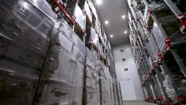 食品産業と製造業について 食品で満たされた冷凍倉庫の内部のパン 準備ができた部品の輸送および配達 — ストック動画