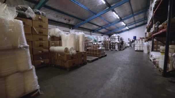 産業倉庫について 箱およびプロダクトで満たされる貯蔵部屋のパン — ストック動画