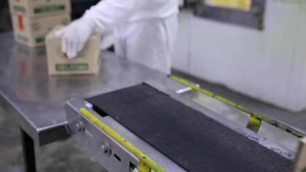食品工业 冰淇淋生产线 工人从传送带收到盒装棒棒糖的景象 — 图库视频影像