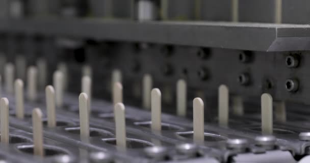 Industriell Glassproduktion Fabriksmaskinen Närbild Automatiserad Maskin Transportera Och Placera Träpinnar — Stockvideo