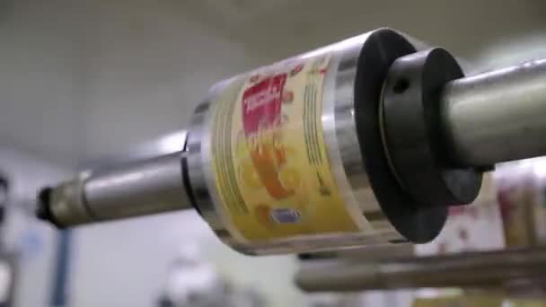 Industria Alimentaria Producción Industrial Helados Vista Una Máquina Embalaje Automática — Vídeos de Stock