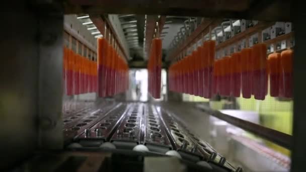 Livsmedelsindustrin Teknik Och Automatisering Inom Livsmedelsbearbetning Och Tillverkning Närbild Kommersiell — Stockvideo