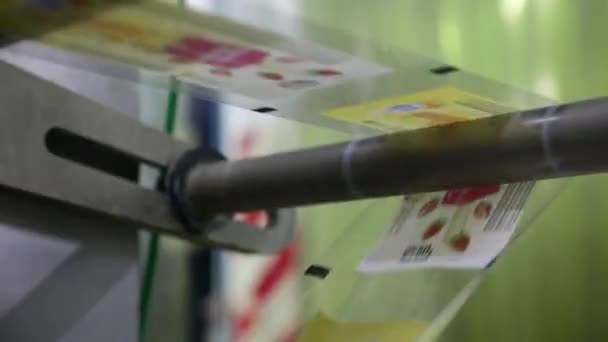 Industrie Alimentaire Production Industrielle Crème Glacée Vue Une Machine Emballage — Video