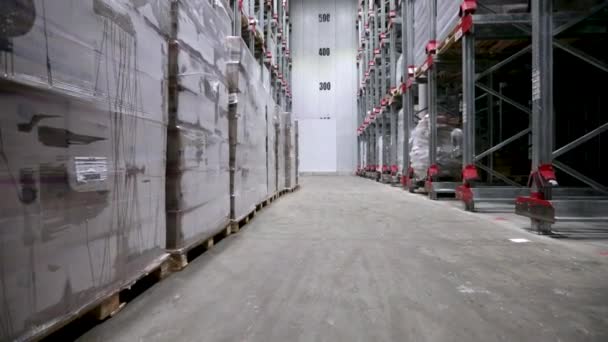 食品産業と製造業について 食品の準備ができている輸送と配達で満たされた冷凍倉庫の内部のキルト — ストック動画
