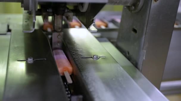 Lebensmittelindustrie Automatisierung Und Technologie Der Lebensmittelproduktion Kommerzielle Maschine Mit Erdbeer — Stockvideo