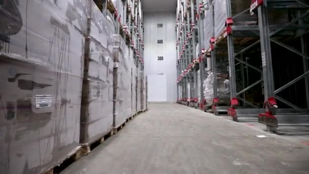 食品産業と製造業について 食品で満たされた冷凍倉庫の内部のキルト 準備ができた部品の輸送 — ストック動画