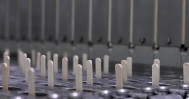 産業用アイスクリーム生産 工場のポップスル機械 アイスポップモールドに木製の棒を輸送して配置する自動機械のクローズアップビュー — ストック動画