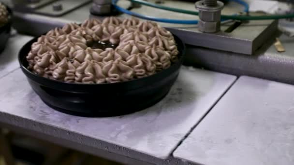 산업용 디저트 아이스크림 기계장치와 아이스크림 초콜릿 케이크를 컨베이어 벨트의 — 비디오