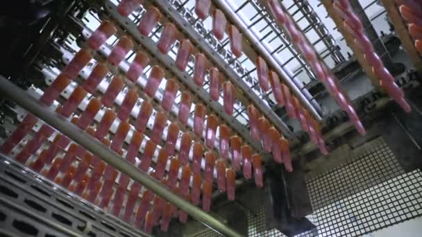 Industri Makanan Otomasi Dan Teknologi Dalam Produksi Pangan Komersial Stroberi — Stok Video