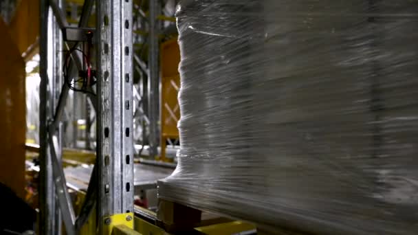 Chambre Réfrigération Industrielle Technologie Robotisation Vue Entrepôt Frigorifique Autonome Transportant — Video