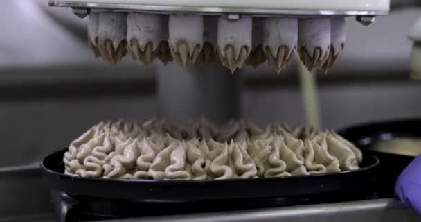 食品産業について アイスクリーム ケーキ工場生産ラインおよび労働者 チョコレートアイスクリームでプラスチックポットを充填する自動機のクローズアップビュー — ストック動画