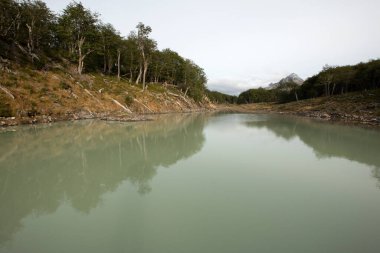 View of a glacier water lake, created by a beaver's dam, in the alpine forest. The trees reflection in the turquoise water. clipart