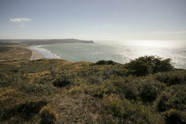 Deniz Burnu. Sarı çayır, körfez, kıyı, turkuaz renkli okyanus manzarası ve tepenin tepesinden güneşin su yüzeyindeki yansıması.. 