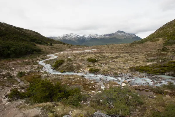 Alp manzarası. Buzul su akıntısının panorama manzarası çayırdan, vadiden, ormandan ve dağlardan aşağıya doğru akar bulutlu bir yaz gökyüzünün altında..