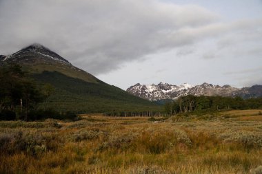 View of the golden meadow, forest and mountain very early in the morning. clipart