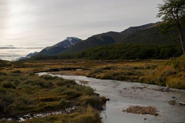 The valley at sunrise. View of stream flowing along the yellow meadow, mountains and forest in autumn. clipart