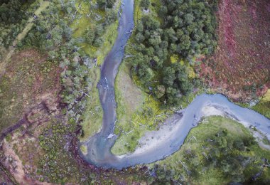 Doğal Peat Fen. Turba bataklığının, ormandaki Sphagnum Magellanicum 'un ve tarla boyunca akan buzullu su akıntısının üzerinde. Tierra del Fuego, Patagonya 'da çekildi. Arjantin. 