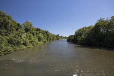 Iguazu nehri ve kıyı şeridi güneşli bir günde yeşil tropikal ormanın içinden akıyor.. 