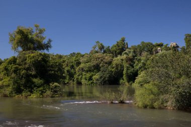 Iguazu nehri ve kıyı şeridi güneşli bir günde yeşil tropikal ormanın içinden akıyor.. 