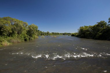 Keşfedin. Geniş nehrin yeşil tropikal ormanı geçişini görmek. 