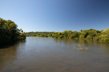 Iguazu nehri ve kıyı şeridi güneşli bir günde yeşil tropikal ormanın içinden akıyor.. 