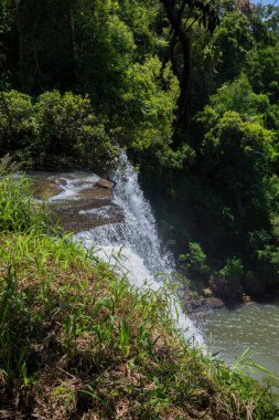 View of the waterfall in the jungle clipart