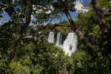 Iguazu ormana düşer. Arjantin, Misiones, Iguazu Ulusal Parkı 'ndaki tropikal yağmur ormanlarından akan beyaz su manzarası. Şelaleler ve yemyeşil bitkiler..