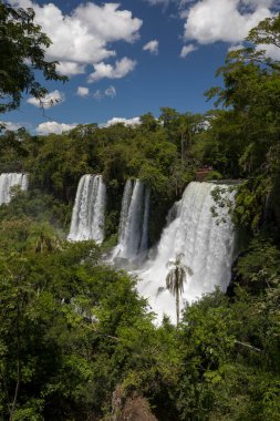 Iguazu ormana düşer. Arjantin, Misiones, Iguazu Ulusal Parkı 'ndaki tropikal yağmur ormanlarından akan beyaz su manzarası. Şelaleler ve yemyeşil bitkiler..