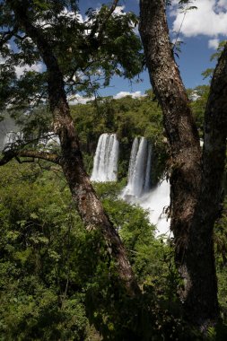 The Iguazu waterfalls in the frontier between Argentina and brazil. View of the falls in the tropical jungle. The falling white water and vegetation foliage. clipart