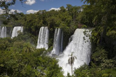 The Iguazu waterfalls in the frontier between Argentina and brazil. View of the falls in the tropical jungle. The falling white water and vegetation foliage. clipart