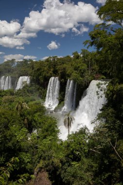 Arjantin ve Brezilya arasındaki sınırdaki Iguazu şelaleleri. Tropikal ormandaki şelalenin manzarası. Düşen beyaz su ve bitki örtüsü.