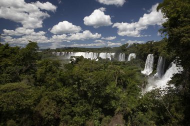 Iguazu ormana düşer. Arjantin, Misiones, Iguazu Ulusal Parkı 'ndaki tropikal yağmur ormanlarından akan beyaz su manzarası. Şelaleler ve yemyeşil bitkiler..