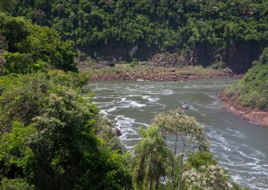 Ormandaki Iguazu nehri boyunca giden küçük bir tekne. Misiones, Arjantin 'deki Iguazu ulusal parkındaki akıntılar ve yemyeşil bitki örtüsü..