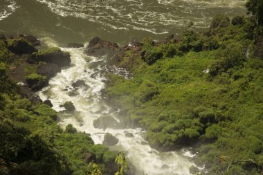 Iguazu 'nun üst manzarası tropikal yağmur ormanlarına düşer. Düşen beyaz su akıntıları yeşil ormandan Iguazu nehrine akıyor.. 