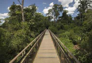 Nehrin üzerindeki tahta köprü. Misiones, Arjantin 'deki Iguazu Ulusal Parkı' ndaki yeşil ormana giden boş tahta yolun görüntüsü.